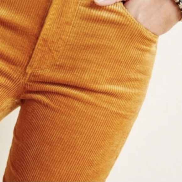 Hoxton Ankle Corduroy Pants (Anthropologie) - Picture 10 of 10